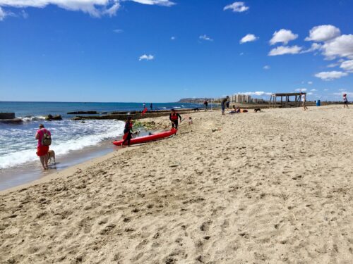 Playa agua amarga dogfriendy (2)