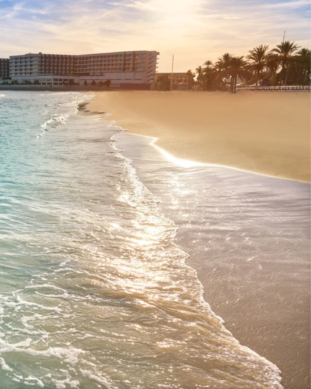 🏖️ La Playa del Postiguet es Alicante en estado puro:
Arena fina, aguas tranquilas y el Castillo de Santa Bárbara vigilando desde lo alto.
A un paso del centro, perfecta para desconectar sin salir de la ciudad.

.

.

🏖️ La platja del Postiguet és Alacant en estat pur:
arena fina, aigües tranquil·les i el Castell de Santa Bàrbara com a testimoni.
A dos passes del centre, ideal per desconnectar sense eixir de la ciutat.

.

.

🏖️ The Postiguet Beach is pure Alicante:
soft sand, calm waters and Santa Bárbara Castle watching from above.
Just steps from downtown, perfect for a quick escape without leaving the city.

#PlayaDelPostiguet #AlicanteCity #Alicante #AlicanteTurismo #Mediterráneo