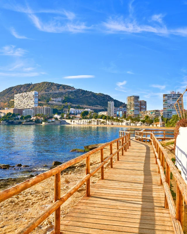 🌊 Si buscas un rincón tranquilo en Alicante, la Playa de la Albufereta es tu sitio.
Entre historia y mar, con aguas calmadas y vistas que enamoran.
Ideal para desconectar, leer o darte ese baño que llevas soñando todo el día.
¿La conoces?
.

.

#PlayaAlbufereta #AlicanteCity #Alicante #AlicanteTurismo #Mediterráneo
