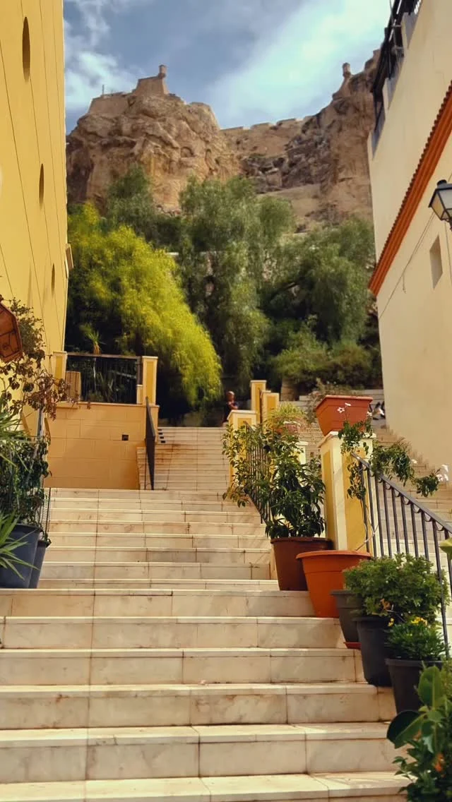 ✨ En San Roque, cada rincón respira historia.
🌿 Un barrio con alma, antigua Medina de Alicante donde el tiempo se detiene entre callejuelas con flores y fachadas con memoria.
👣 Pasear por aquí es descubrir el corazón más auténtico de Alicante.
🎉 Y si vienes en agosto… prepárate para vivir sus fiestas como uno más del barrio.

#BarrioSanRoque #AlicanteSeSiente #AlicanteCity #Alicante #AlicanteTurismo